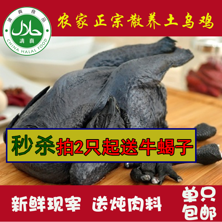 Orthodox school Wuji Farm Backyard Wuji Silky Farm Autotrophic Chickens Stocking Wuji Muslimin the Aquatic meat/Fresh fruits and vegetables/Cooked , Raw meat/Meat , Chicken , Whole chicken category - from Buy2taobao.com to provide professional Taobao agent buy service