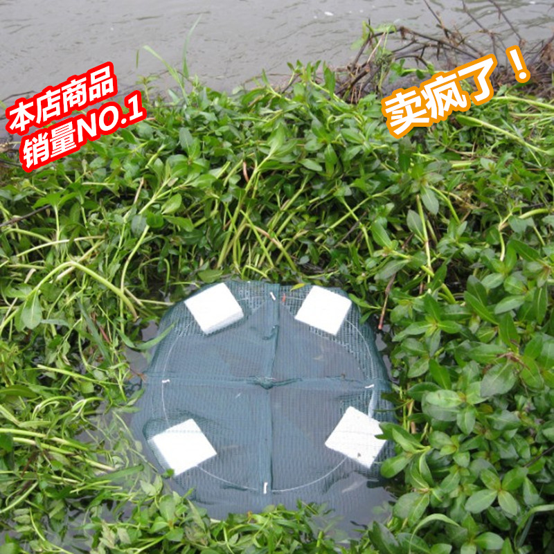 ricefield eel cage Eel cage self-control Misgurnus anguillicaudatus 4 Water drift Eel cage Eel Net Dedicatedin the Outdoor/Mountaineer/Camping/Travel Goods , Fishing equipment , Fishnet/Shrimp cage/Other gear category - from Buy2taobao.com to provide professional Taobao agent buy service