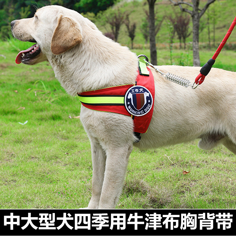 狗狗牵引绳夜光牛津布胸背带荧光夜间反光中大型工作犬金毛遛狗绳|ruв категории животное/Животное питание и принадлежностей, кошка/собака товаров, бытовой натяжного ремня - от Buy2taobao.com для оказания профессиональной услуги покупки агента Taobao