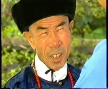 热销趣味收藏  杨少华 主演【绝版大陆2集电影】