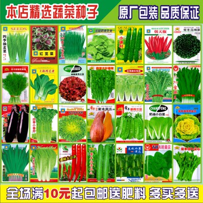 蔬菜种子四季播种非转基因农家田园盆栽春播季香菜菠菜籽种子包邮