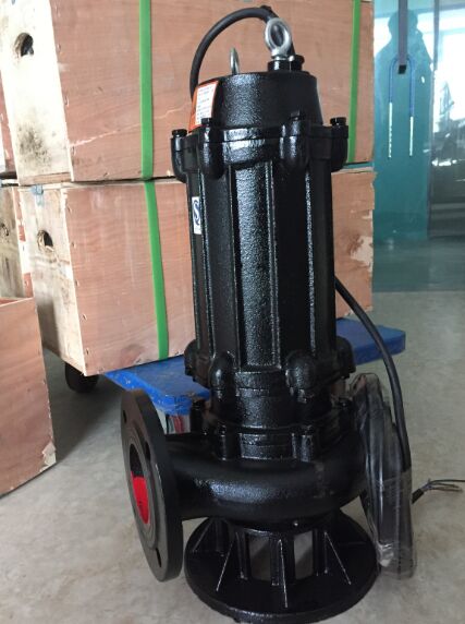 Shanghai Shanghai first 65WQ30-30-5.5 Sewage pump WQ Block automatic control Sewage pumpin the Hardware/Tool , Electrical Hardware , Pump , Other types of pumps category - from Buy2taobao.com to provide professional Taobao agent buy service