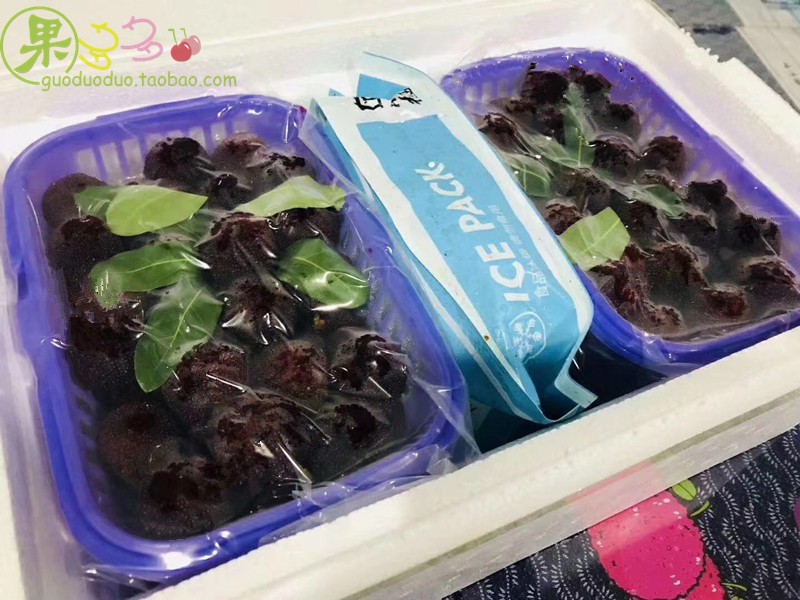 goods in stock Air transport Dongkui Xianju Bayberry 5 pounds Gift box packaging fresh pregnant woman fruit Many provinces SFin the Aquatic meat/Fresh fruits and vegetables/Cooked , Fresh fruit , Other category - from Buy2taobao.com to provide professional Taobao agent buy service