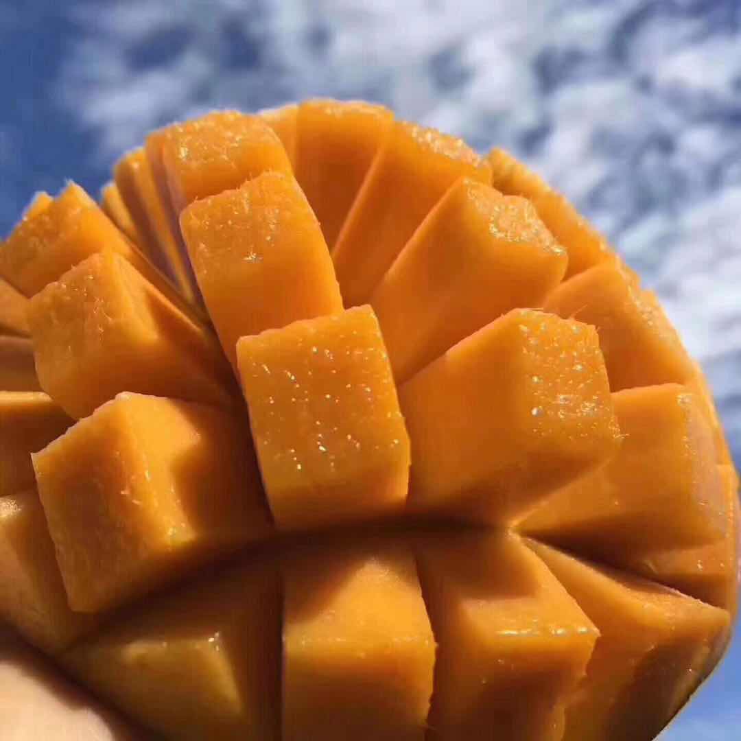 芒果 澳芒 三亚青皮芒果 新鲜水果 凯特芒果 6斤顺丰空运在类目 水产肉类/新鲜蔬果/熟食, 新鲜水果, 芒果中 - 来自Buy2taobao.com提供专业的淘宝代购服务