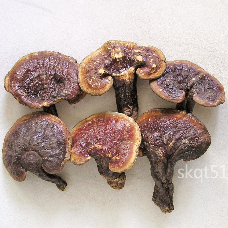 包郵 水洗幹淨約5-7cm 雲南森林整枝野生赤靈芝500克 蟲蛀少赤芝在類目 傳統滋補營養品, 靈芝, 整枝靈芝中 - 來自Buy2taobao.com提供專業的淘寶代購服務