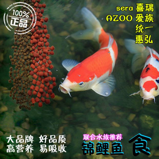 联合水族推荐锦鲤鱼饲料10KG大包装鱼食鱼粮 发物流运费到付在类目 宠物/宠物食品及用品, 水族世界, 观赏鱼饲料中 - 来自Buy2taobao.com提供专业的淘宝代购服务