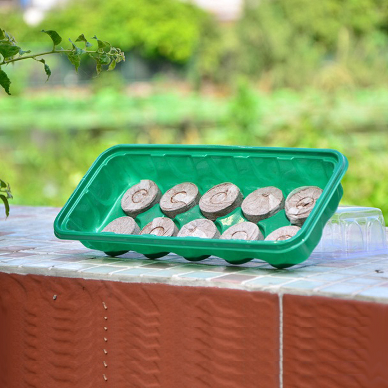 10孔育苗盒育苗盤 苗木多肉育苗箱育苗塊種植盤穴盆穴盤在類目 鮮花速遞/花卉仿真/綠植園藝, 園藝用品, 育苗盤/營養鉢中 - 來自Buy2taobao.com提供專業的淘寶代購服務