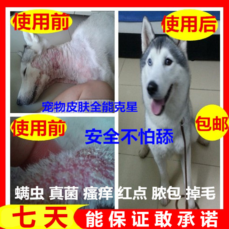 宠物康药液狗狗皮肤病喷剂真菌螨虫耳螨止痒脓包掉毛体外驱虫包邮在类目 宠物/宠物食品及用品, 猫/狗保健品中 - 来自Buy2taobao.com提供专业的淘宝代购服务