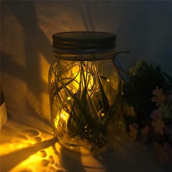 romantic Butterfly tank romantic Firefly Lover gift Luminous bottle Sun Jar Noctilucent Moonlight tankin the Home accessories , Decorative items , Sun Jar/Moonlight tank category - from Buy2taobao.com to provide professional Taobao agent buy service