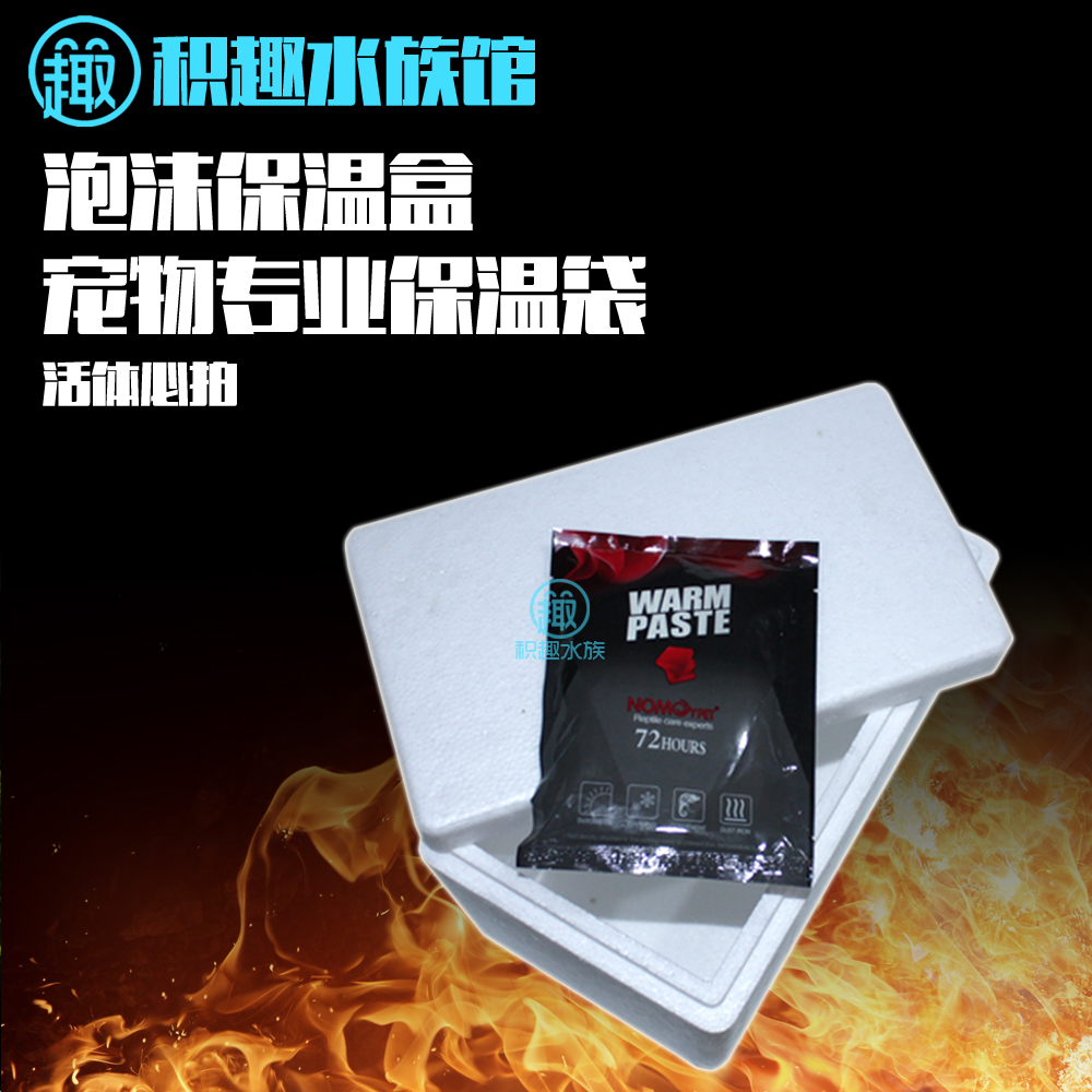 Living body heat preservation box Foam box Box Reptile Hot bag ice bag living thing Chongqing Aquariumin the Pet/Pet food and supplies , Aqua World , Aqua Service category - from Buy2taobao.com to provide professional Taobao agent buy service