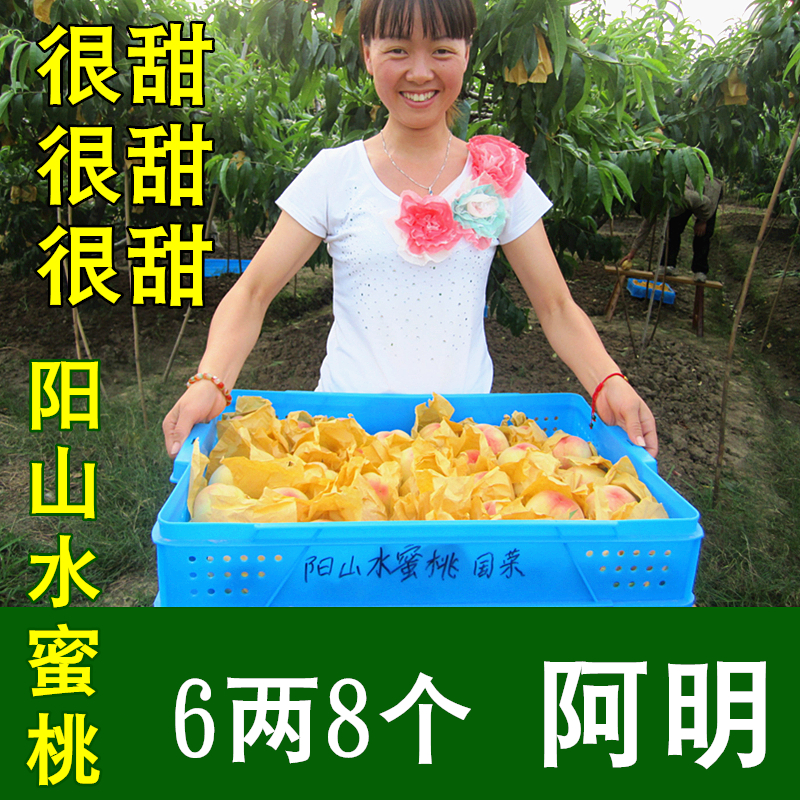【阿明】正宗无锡阳山水蜜桃水果 6两8个 大桃子水果新鲜桃 很甜在类目 水产肉类/新鲜蔬果/熟食, 新鲜水果, 桃中 - 来自Buy2taobao.com提供专业的淘宝代购服务