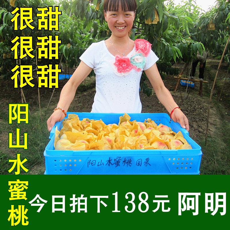 【阿明】正宗无锡阳山水蜜桃水果7两8个大桃子水果新鲜桃很甜送礼|ruв категории водной мясо/свежие фрукты и овощи/еда, свежие фрукты, персик - от Buy2taobao.com для оказания профессиональной услуги покупки агента Taobao