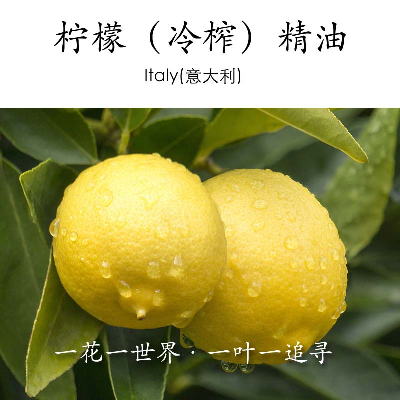 意大利进口柠檬精油香薰单方精油5ml家用卧室净化空气加湿器车载在类目 美容护肤/美体/精油, 精油芳疗, 单方精油中 - 来自Buy2taobao.com提供专业的淘宝代购服务