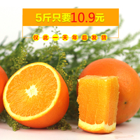橙底白字(留言尺寸)-寻乌手剥甜橙子水果雪窝 