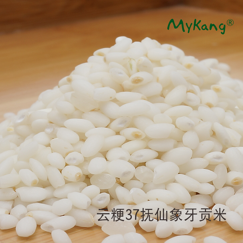 鎮店之寶雲粳37撫仙胚芽貢米雲南象牙1kg大米新1000g2018年新米在類目 糧油米麪/南北乾貨/調味品, 米/麪粉/雜糧, 米類, 大米中 - 來自Buy2taobao.com提供專業的淘寶代購服務