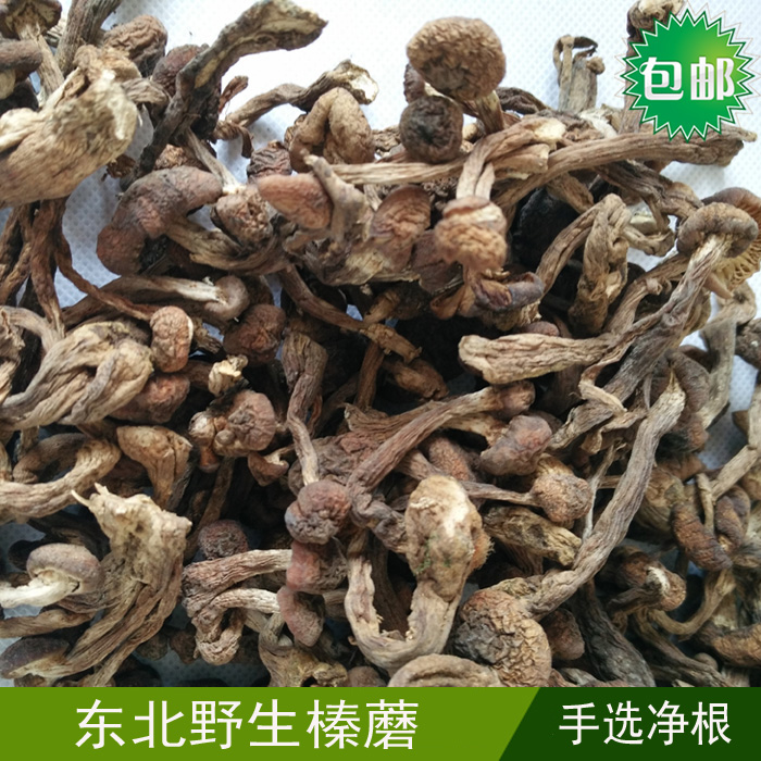 東北特産野生榛蘑菇幹貨 榛蘑丁 真蘑無根500克包郵在類目 糧油米麪/南北乾貨/調味品, 南北乾貨/肉類乾貨, 乾貨/土特產, 香菇類中 - 來自Buy2taobao.com提供專業的淘寶代購服務