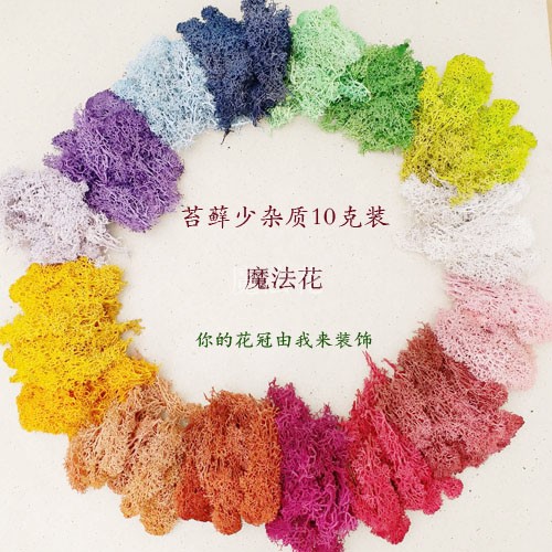 荷兰进口永生苔藓鹿角藓微景观绿植花艺DIY手工材料10克装少杂质在类目 鲜花速递/花卉仿真/绿植园艺, 永生花/干花, 永生花中 - 来自Buy2taobao.com提供专业的淘宝代购服务