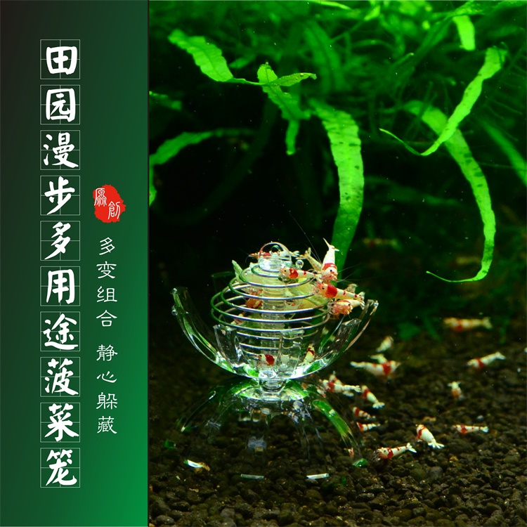 田园漫步虾缸喂食器菠菜笼喂食笼子莫丝躲避屋水晶虾极火虾喂食杯|ruв категории животное/Животное питание и принадлежностей, аквариум мира, аквариум аквариум оборудования и т.д., питатель - от Buy2taobao.com для оказания профессиональной услуги покупки агента Taobao