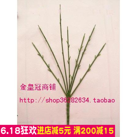 丝网花材料丝袜花材料牡丹花玫瑰五头七头花杆随机手工DIY杆|ruв категории доставка цветов/цветок моделирования/растения садоводства, Diy моделирования цветы материалов, производство материалов (новый), цветок - от Buy2taobao.com для оказания профессиональной услуги покупки агента Taobao