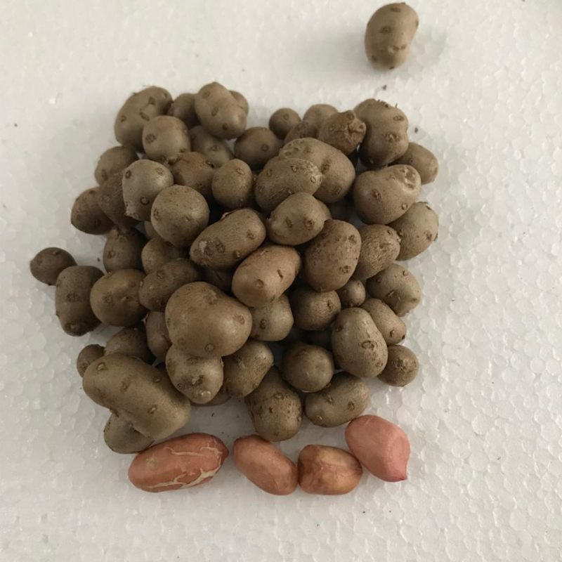 2018年新鲜铁棍山药豆5斤 正宗山药蛋 怀淮山药豆铁棍山药包邮|ruв категории традиционные питательный пища, ям - от Buy2taobao.com для оказания профессиональной услуги покупки агента Taobao
