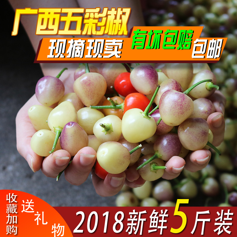 fresh Five peppers Guangxi Specialty 5 Now pick Now send Colored pepper Seven bell pepper lantern Peppers pickled pepperin the Aquatic meat/Fresh fruits and vegetables/Cooked , Fresh vegetables/Vegetable products , Fresh vegetables , Other category - from Buy2taobao.com to provide professional Taobao agent buy service