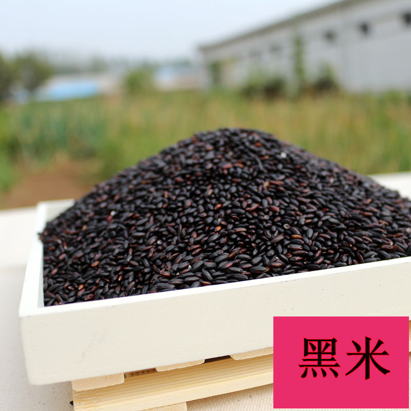 2018年产黑米 黑香米 黑米 煮粥黑米 500g=1斤|msdalam kategori beras/Utara-Selatan barangan kering/perasa, meter/tepung/bijirin, RICE, beras hitam - dari Buy2taobao.com untuk memberikan perkhidmatan ejen Taobao profesional membeli