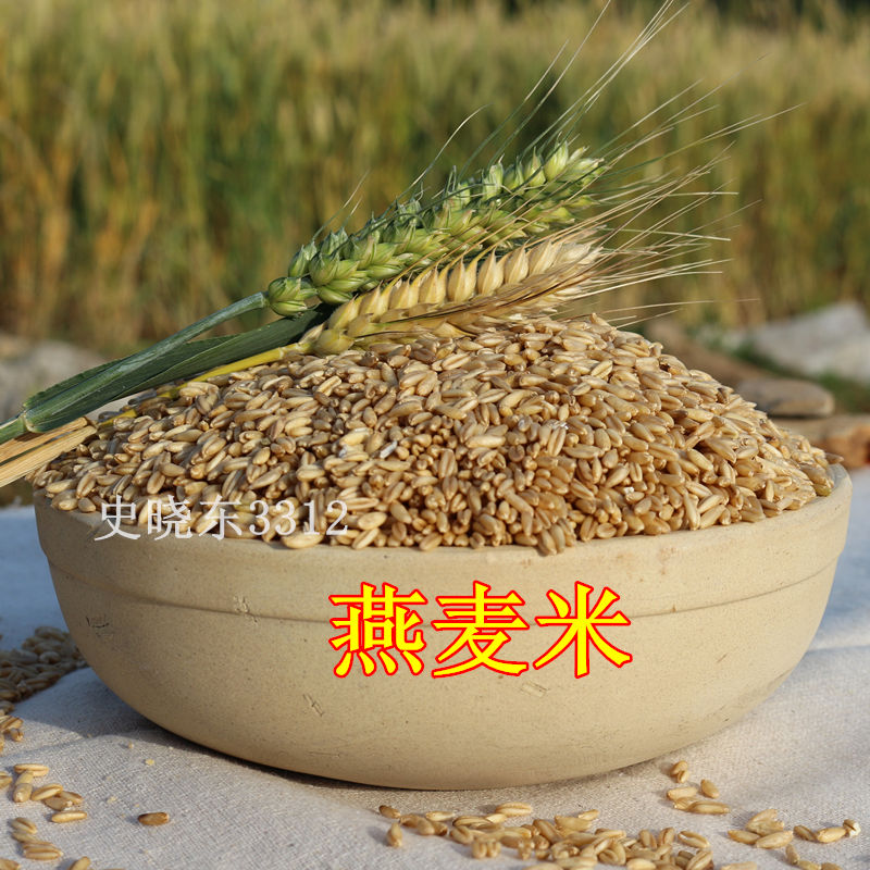 山区农家优质燕麦米燕麦仁野麦雀麦500g|msdalam kategori beras/Utara-Selatan barangan kering/perasa, meter/tepung/bijirin, makanan lain - dari Buy2taobao.com untuk memberikan perkhidmatan ejen Taobao profesional membeli