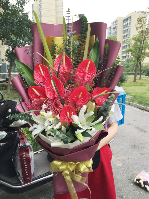 红掌 成都鲜花店 生日 领导花束父亲节花束 郫县双流成华同城速递