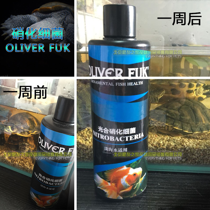 OLIVERFUK奥力福 龟缸鱼缸 水族箱 净水硝化细菌 硝化细菌液300ML在类目 宠物/宠物食品及用品, 水族世界, 硝化细菌中 - 来自Buy2taobao.com提供专业的淘宝代购服务