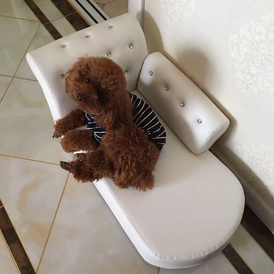 韓國寵物狗狗皮小沙發床貴妃寵物屋泰迪貴賓狗沙發窩在類目 寵物/寵物食品及用品, 貓/狗日用品, 牀/墊/沙發(新), 牀中 - 來自Buy2taobao.com提供專業的淘寶代購服務