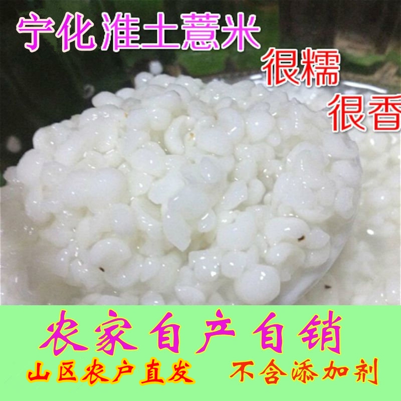 福建宁化小薏米500g农家金糯薏米仁去湿气碎薏米仁新货薏苡仁米在类目 粮油米面/南北干货/调味品, 米/面粉/杂粮, 米类, 薏米中 - 来自Buy2taobao.com提供专业的淘宝代购服务