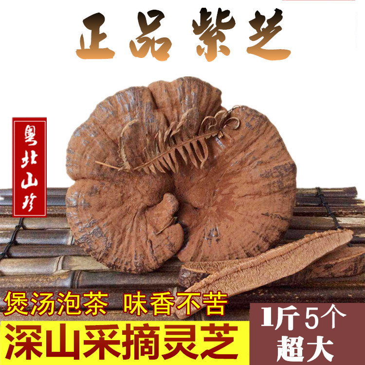 粤北韶关紫芝500克整支灵芝林芝超厚孢子粉灵芝半野生 成熟佳品在类目 传统滋补营养品, 灵芝, 整枝灵芝中 - 来自Buy2taobao.com提供专业的淘宝代购服务