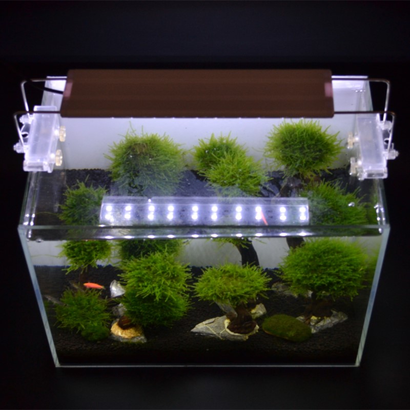 Aquatic herb Landscaping Light plants Fish tank lamp Lighting LED Light plants white lightin the Pet/Pet food and supplies , Aqua World , Aquarium fish tanks and other equipment , Lighting Equipment category - from Buy2taobao.com to provide professional Taobao agent buy service