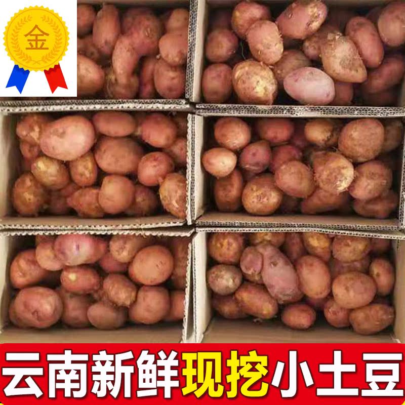 云南新鲜小土豆 红皮黄心小土豆新鲜土豆马铃薯新鲜洋芋批 发自种|msdalam kategori daging perikanan/Buah-buahan segar dan sayur-sayuran/dimasak, sayur-sayuran segar/Vegetable Products, sayur-sayuran segar, Potato - dari Buy2taobao.com untuk memberikan perkhidmatan ejen Taobao profesional membeli