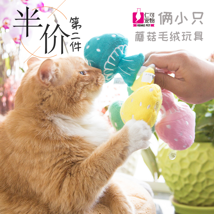 仁可宠物 俩小只 蘑菇毛绒猫玩具逗猫玩具响纸发声猫玩具发声蘑菇在类目 宠物/宠物食品及用品, 猫/狗玩具, 发声玩具中 - 来自Buy2taobao.com提供专业的淘宝代购服务