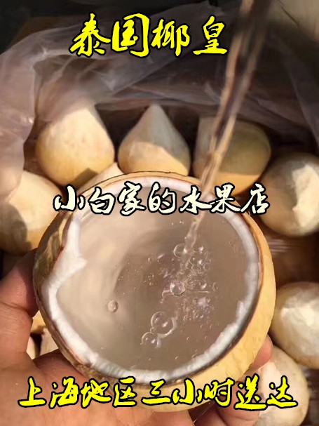 天然飲品 超香椰蓉 泰國進口 低卡泰國椰皇(壹箱12枚)在類目 水產肉類/新鮮蔬果/熟食, 新鮮水果, 其它中 - 來自Buy2taobao.com提供專業的淘寶代購服務