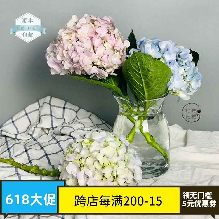 【花房花匠】绣球一支秋色绣球云南昆明斗南鲜花婚庆花店家用插花在类目 鲜花速递/花卉仿真/绿植园艺, 花卉/绿植盆栽(新), 花卉中 - 来自Buy2taobao.com提供专业的淘宝代购服务