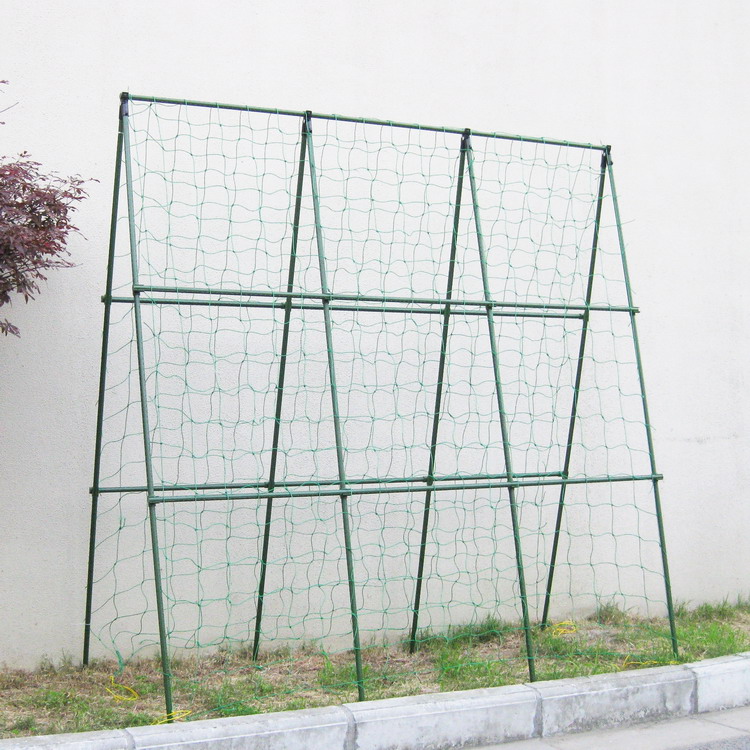gardening pillar Bracket suit Flower Pillar Climbing Angle Brackets cucumber Vegetable garden Vegetables Bracket 16mm Coarsein the Flower delivery/Flowers simulation/Plants gardening , Gardening supplies , Other Garden Supplies category - from Buy2taobao.com to provide professional Taobao agent buy service