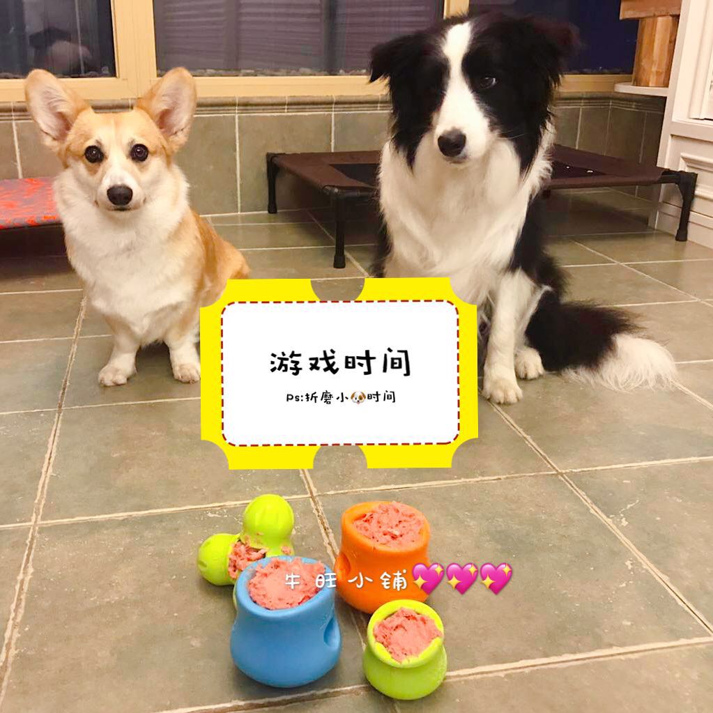 牛旺小铺 美国 West Paw 西爪宠物漏食耐咬浮水宠物狗玩具|ruв категории животное/Животное питание и принадлежностей, кошка/собака игрушка, питание мяч утечки - от Buy2taobao.com для оказания профессиональной услуги покупки агента Taobao