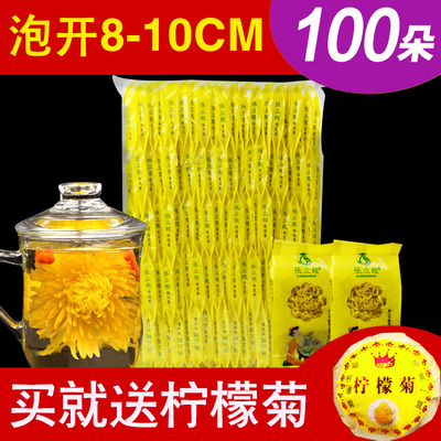 张立龙菊花茶金丝皇菊一朵一杯100朵黄菊婺源黄山大朵花草茶贡菊