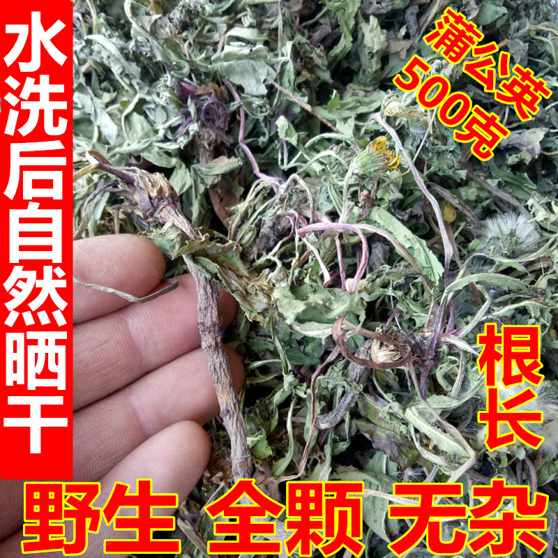 田金满农场818新货蒲公英野生纯天然特级全颗蒲公英婆婆丁500克在类目 水产肉类/新鲜蔬果/熟食, 新鲜蔬菜/蔬菜制品, 新鲜蔬菜, 其它中 - 来自Buy2taobao.com提供专业的淘宝代购服务