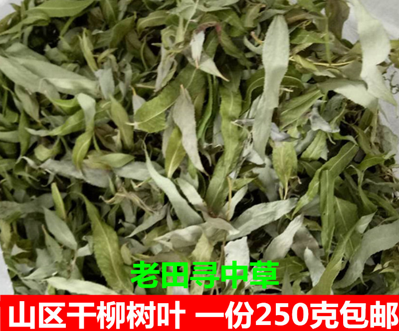 老田特产山沟柳树叶野生新鲜干中药材干柳树叶子柳叶茶250克包邮|msdalam kategori makanan berkhasiat tradisional, Ubat-ubatan dan makanan yang boleh dimakan, Lain Perubatan dan Makanan yang boleh dimakan - dari Buy2taobao.com untuk memberikan perkhidmatan ejen Taobao profesional membeli