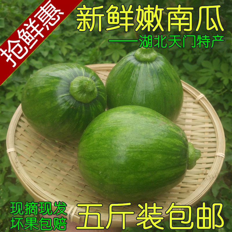 fresh Pumpkin Hubei Tianmen specialty Pumpkin Pumpkin Farm Fresh vegetables Melon and fruitin the Aquatic meat/Fresh fruits and vegetables/Cooked , Fresh vegetables/Vegetable products , Fresh vegetables , Other category - from Buy2taobao.com to provide professional Taobao agent buy service