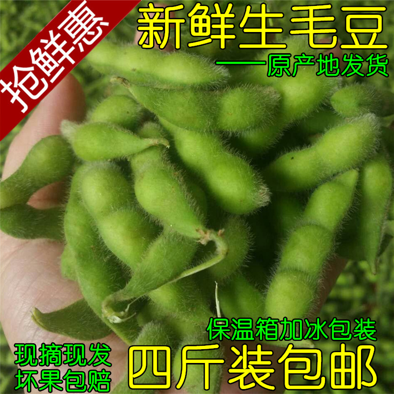 新鲜毛豆带壳湖北特产农家自种现摘毛豆角青毛豆生毛豆应季蔬菜在类目 水产肉类/新鲜蔬果/熟食, 新鲜蔬菜/蔬菜制品, 新鲜蔬菜, 其它中 - 来自Buy2taobao.com提供专业的淘宝代购服务