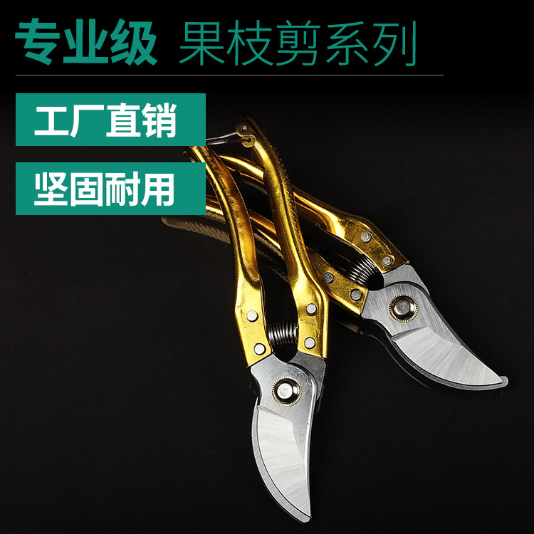 园艺剪树枝剪刀花枝剪 手工制作工具包邮|ruв категории начало ежедневно, бытовой аппаратные средства, ножницы/парикмахерские ножницы/садовые ножницы, садовые ножницы - от Buy2taobao.com для оказания профессиональной услуги покупки агента Taobao