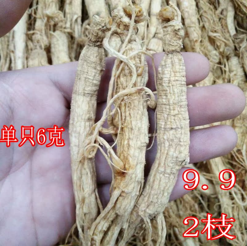 生晒参人参东北长白山白参6年园参2枝9.9元包邮泡酒人参免费打粉|msdalam kategori makanan berkhasiat tradisional, ginseng tonik, ginseng/ginseng - dari Buy2taobao.com untuk memberikan perkhidmatan ejen Taobao profesional membeli