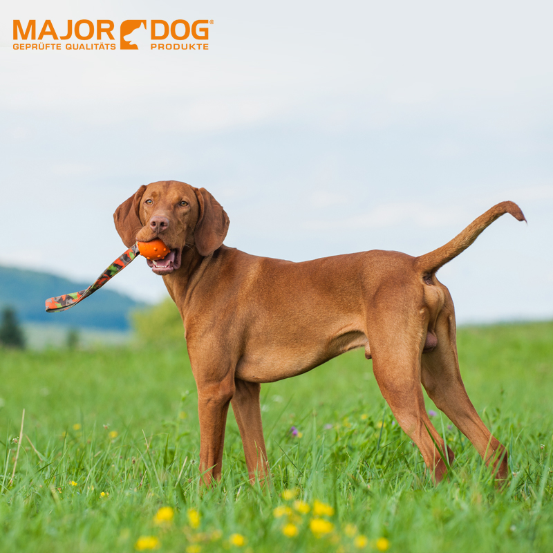 德国Major Dog狗狗玩具 训练耐咬橡胶球带绳边牧金毛磨牙宠物用品|msdalam kategori haiwan peliharaan/makanan haiwan dan bekalan, Cat/Mainan anjing, cakera terbang - dari Buy2taobao.com untuk memberikan perkhidmatan ejen Taobao profesional membeli