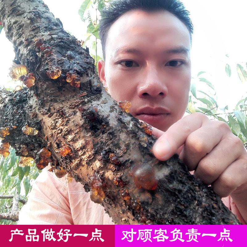 桃胶天然野生250g一级无杂质无添加农家食用桃树胶桃花泪散装桃油|ruв категории традиционные питательный пища, другие традиционные тоник, персиковый клей - от Buy2taobao.com для оказания профессиональной услуги покупки агента Taobao