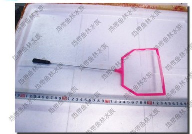 Fang fish fishing nets(ecology small-scale Mini Tropical fish tank Glass Goldfish freshwater Fry Aquarium Suppliesin the Pet/Pet food and supplies , Aqua World , Aquarium fish tanks and other equipment , Tank cleaning equipment category - from Buy2taobao.com to provide professional Taobao agent buy service
