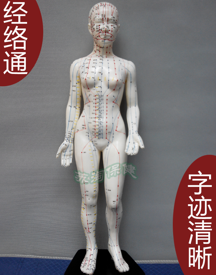 上海中界经络通 超清晰!人体经络模型人体穴位针灸模型/女48cm|msdalam kategori Penjagaan diri/kesihatan/peralatan urut, peralatan urut, peralatan urut lain - dari Buy2taobao.com untuk memberikan perkhidmatan ejen Taobao profesional membeli